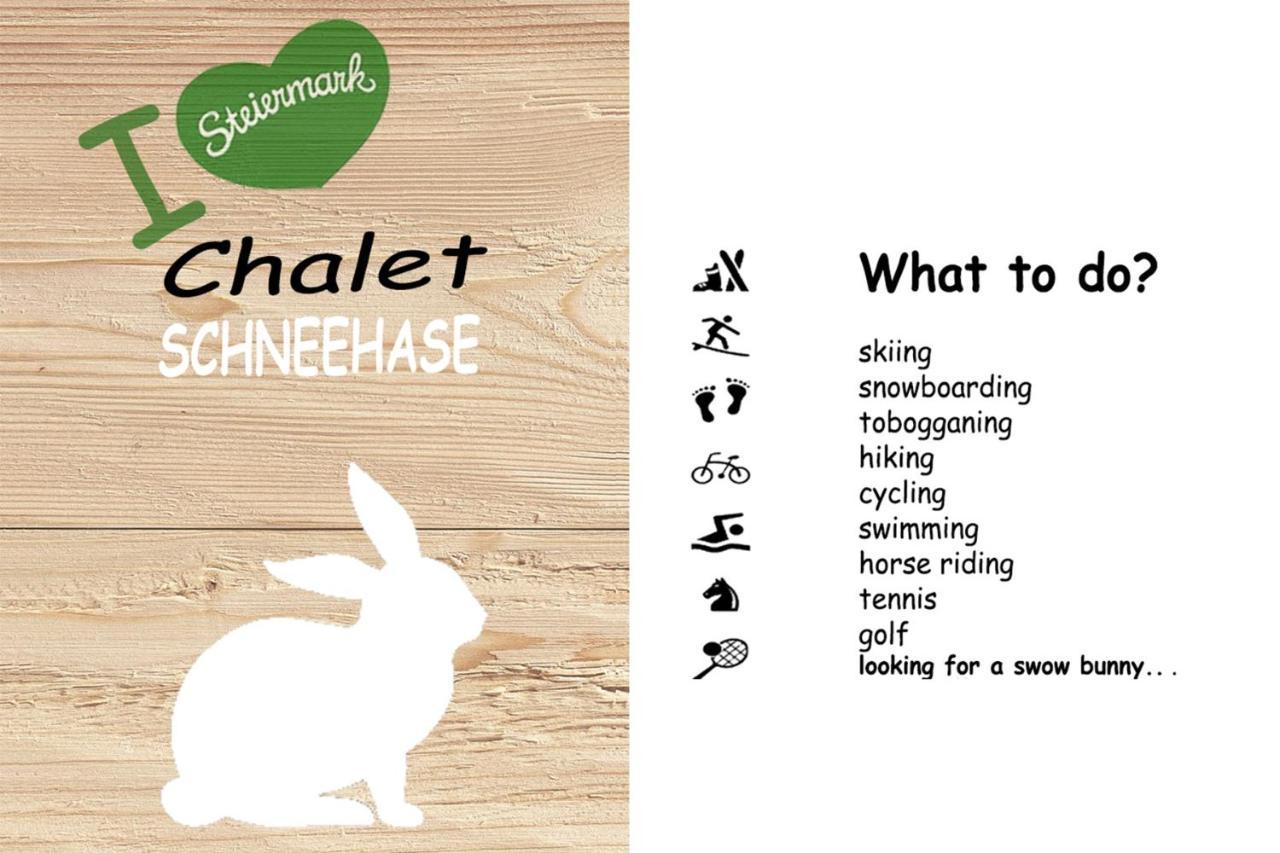 Chalet ?Snow Bunny? Stadl an der Mur Zewnętrze zdjęcie